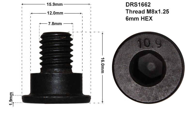 DISC RETAINING SCREW