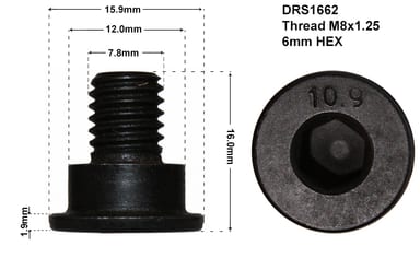 DISC RETAINING SCREW