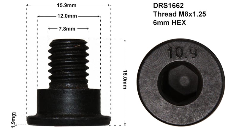 DISC RETAINING SCREW