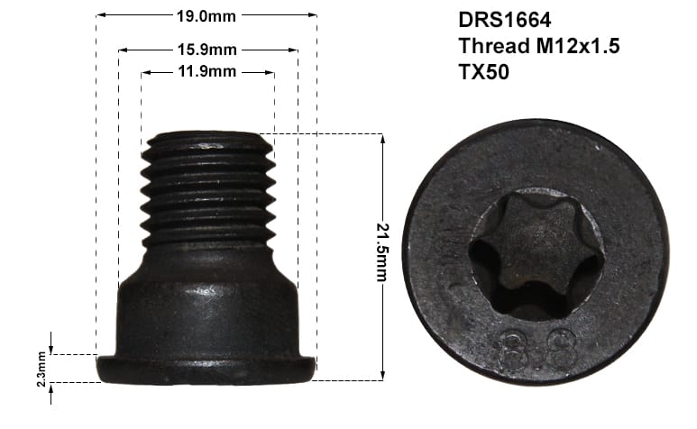 DISC RETAINING SCREW