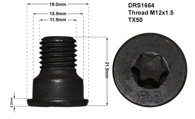 DISC RETAINING SCREW