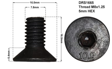 DISC RETAINING SCREW