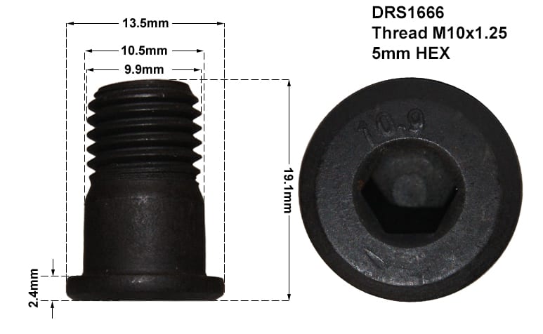 DISC RETAINING SCREW