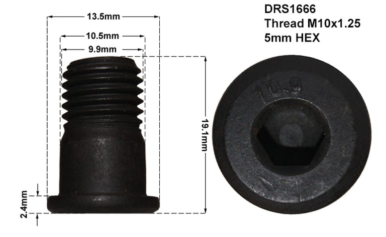 DISC RETAINING SCREW