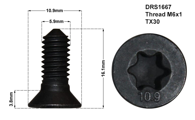 DISC RETAINING SCREW
