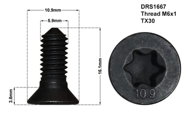 DISC RETAINING SCREW