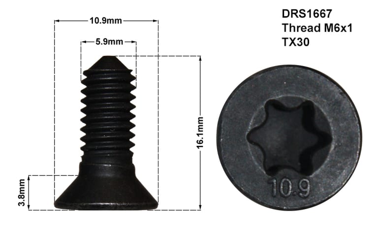 DISC RETAINING SCREW