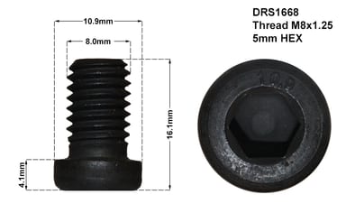 DISC RETAINING SCREW
