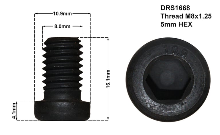 DISC RETAINING SCREW