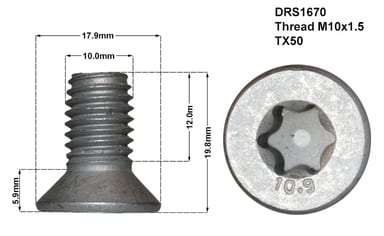 DISC RETAINING SCREW